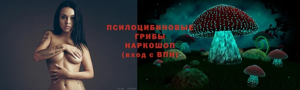 гидропоника Михайловск