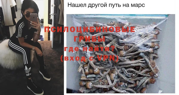 a pvp Медногорск