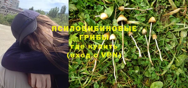 соль ск Михайловка